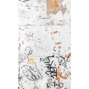 Panel za zavese, ozadje za fotografiranje 160x265 cm porisana stena
