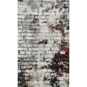 Panel za zavese, ozadje za fotografiranje 160x265 cm stara bela opeka
