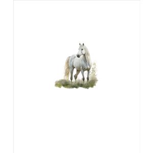 Jersey Takoy PANEL konji naslikani bela 50x60
